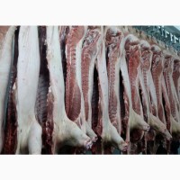 Підприємство на постійній основі реалізовує свинину в напівтушах та субпродукти свинні