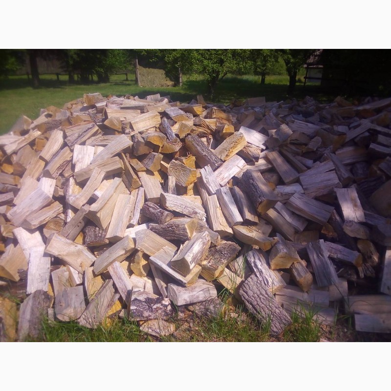 Фото 2. Продам дубовые дрова от производителя 20 кубов