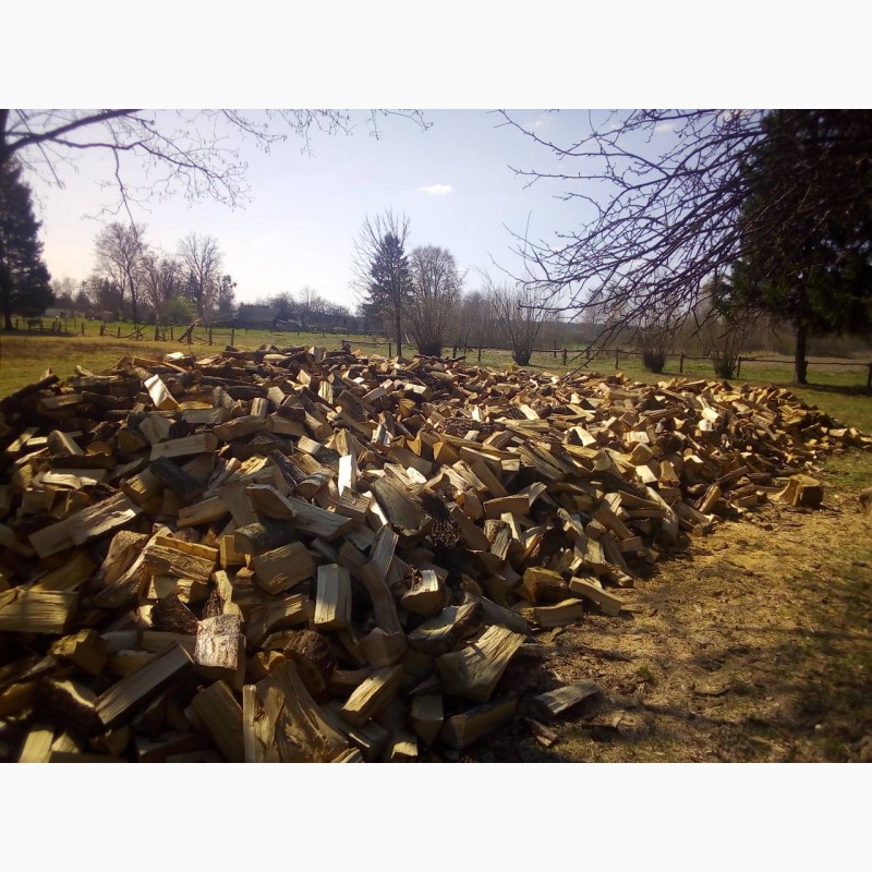 Фото 3. Продам дубовые дрова от производителя 20 кубов