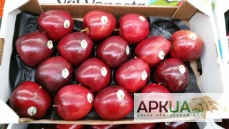 Фото 2. Продаем яблоки из Испании