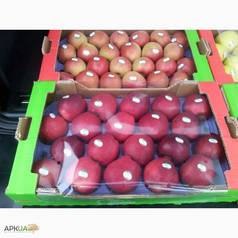 Фото 11. Продаем яблоки из Испании