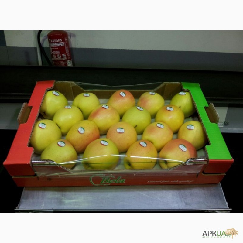 Фото 12. Продаем яблоки из Испании