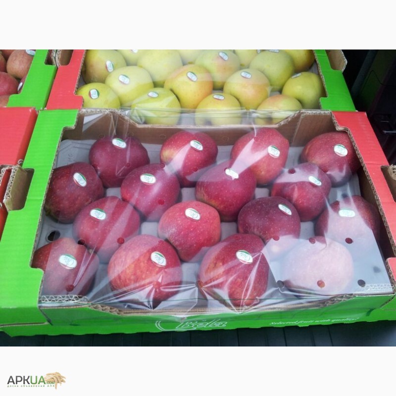 Фото 14. Продаем яблоки из Испании