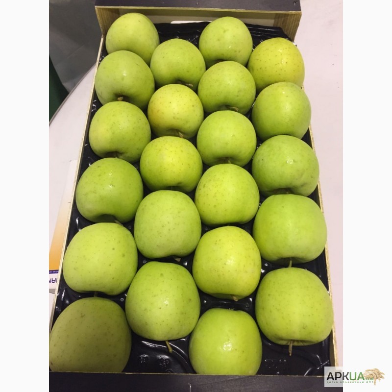 Фото 16. Продаем яблоки из Испании
