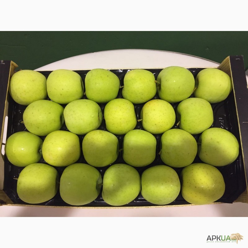 Фото 18. Продаем яблоки из Испании
