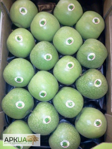 Фото 3. Продаем яблоки из Испании