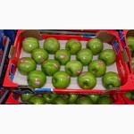 Продаем яблоки из Испании