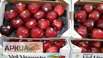 Фото 6. Продаем яблоки из Испании