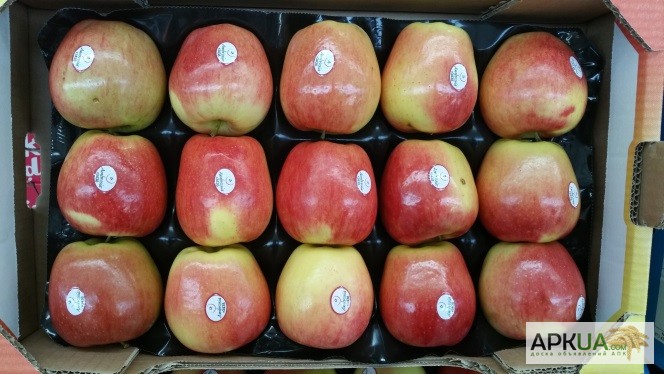 Фото 7. Продаем яблоки из Испании