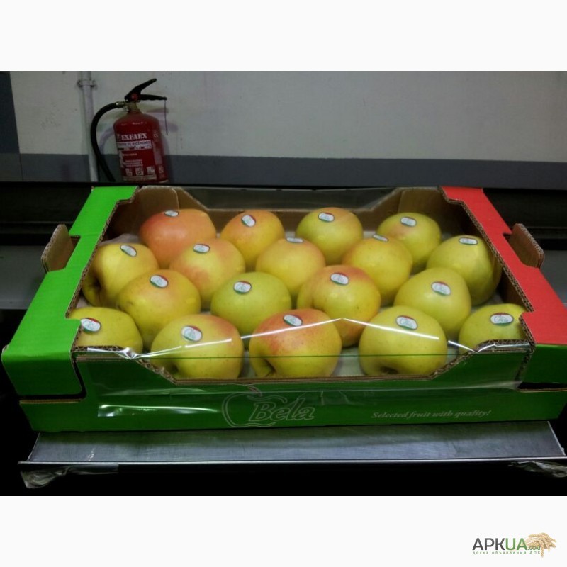 Фото 8. Продаем яблоки из Испании