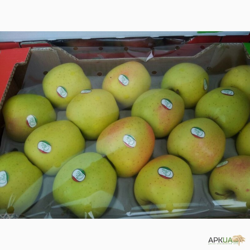 Фото 9. Продаем яблоки из Испании
