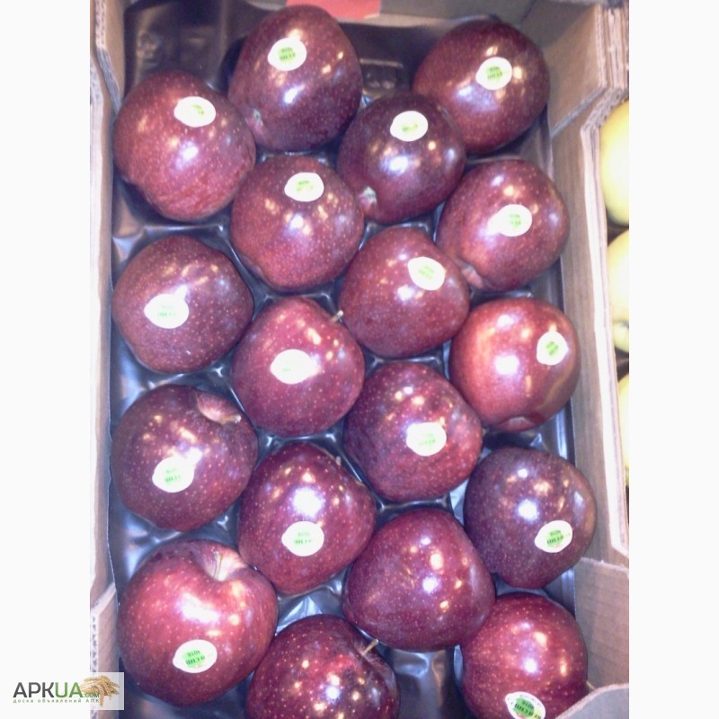Фото 10. Продаем яблоки из Испании