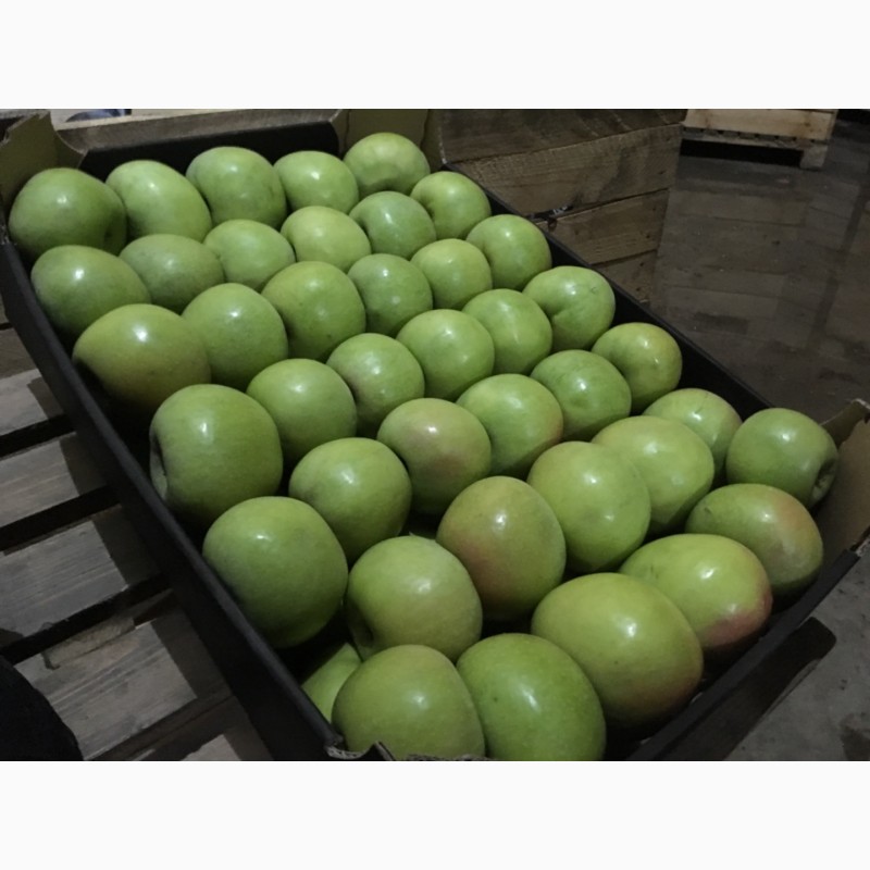 Фото 2. Яблука з холодильника, експорт