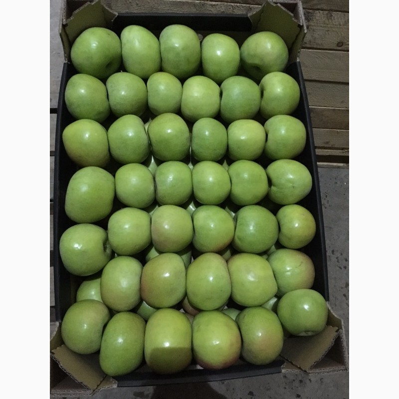 Фото 7. Яблука з холодильника, експорт