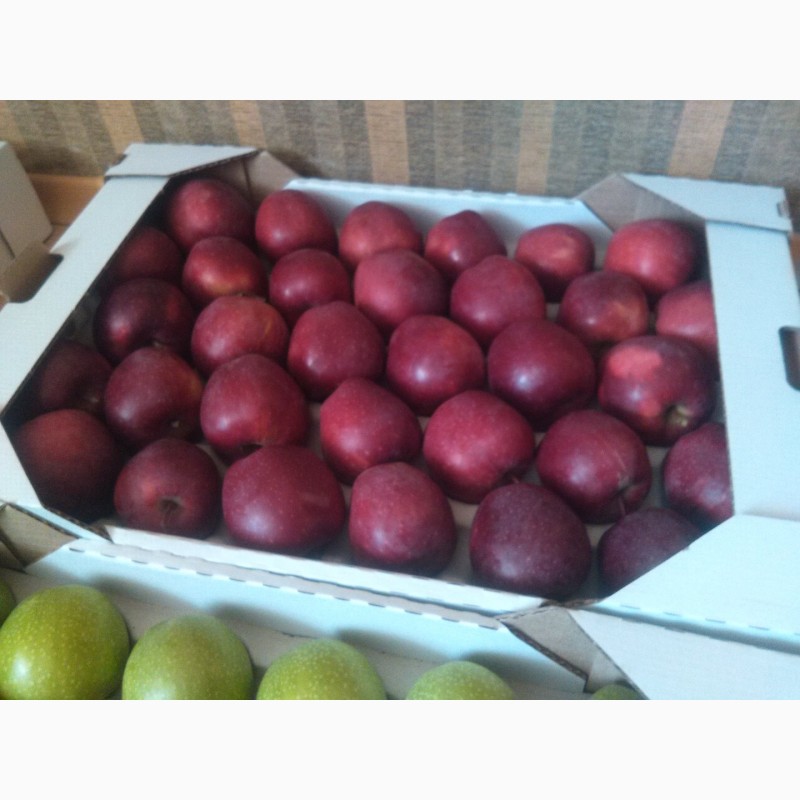 Фото 4. Продам яблуко з холодильника