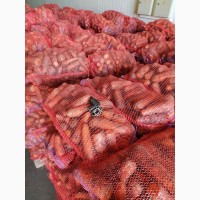 Виробник борщового набору реалізуе КАРТОПЛЮ, МОРКВУ, КАПУСТУ