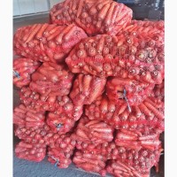 Морковь Абако крупным и мелким оптом со склада в Харькове