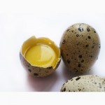Перепелиные домашние яйца