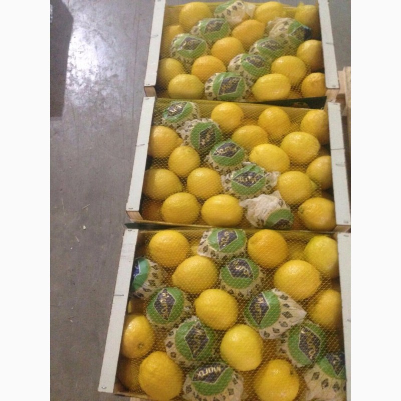 Фото 5. Лимоны Марокканские