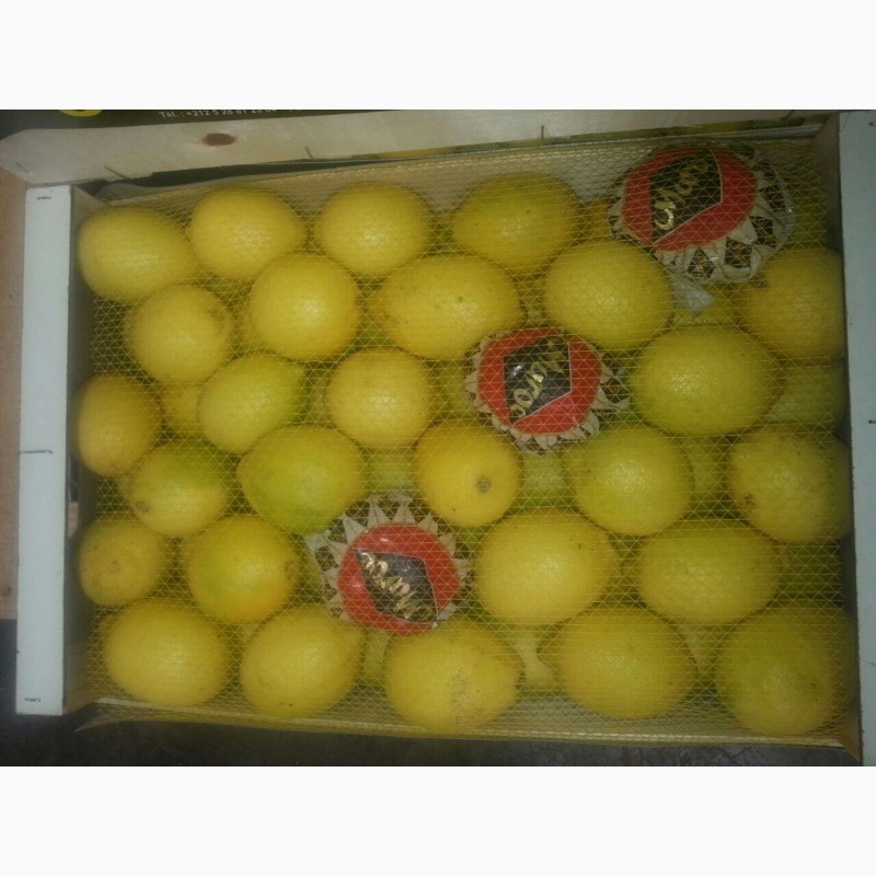 Фото 6. Лимоны Марокканские