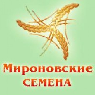 Посівний матеріал озимої пшениці - 1 репродукція., еліта, с./еліта