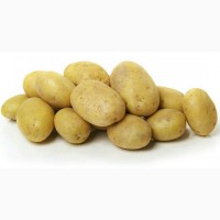 Продажа ривьеры посадка Продам картофель посадочный ривьера