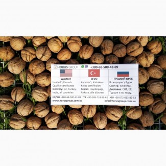 Грецкий орех Экспорт / Walnuts Export / Ceviz teslim