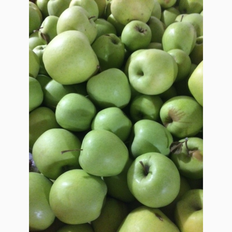 Фото 5. Продам яблука