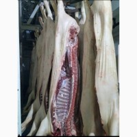 Продаем мясо свинины в полутушах