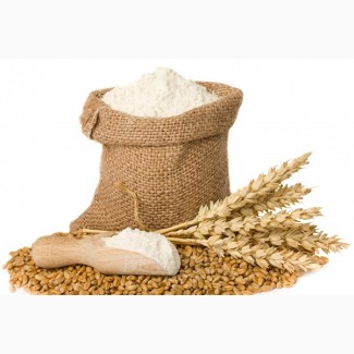 Купим муку пшеничную ГОСТ В/С-1-2 сортов и ржаную