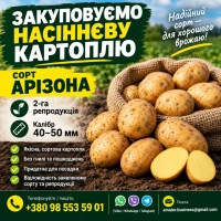 Закупівля насіннєвої картоплі, 2 репродукція