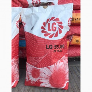Семена подсолнечника Лимагрейн Тунка 2016 Limagrain 55.80 55.50