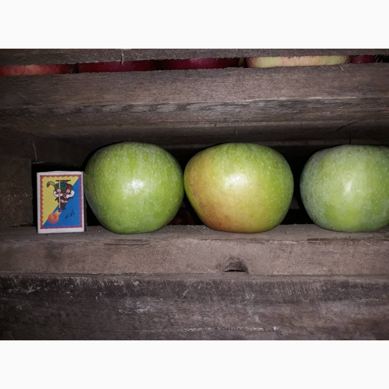 Фото 4. Газованые яблоки с холодильника