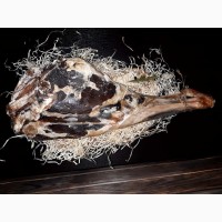 Вяленое крафтовое мясо баранина
