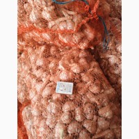 Продам чеснок сорт Любаша высушенный чистый средне крупный цена 120гр есть объём