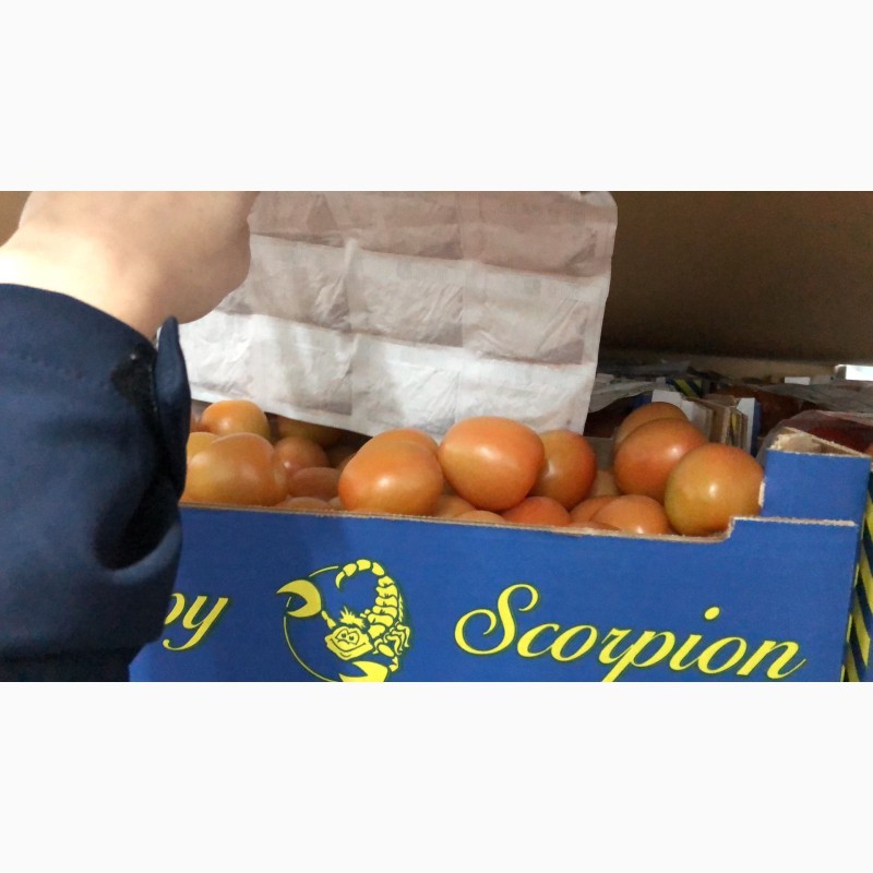 Фото 2. Продаем томаты из Испании