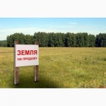 Продам земельный участок на трассе Киев-Чоп, в Житомирском направлении