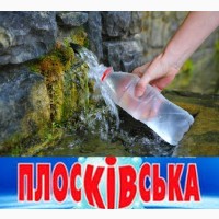 Минеральная вода Плосковская углекислая, гидрокарбонатно-натриевая, борная лечебно-столов