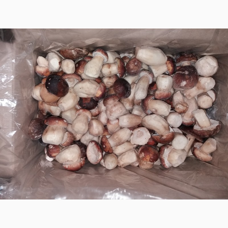Фото 2. Продаємо гриби лісові білі, лисички, опеньки (сушені, заморожені, мариновані)