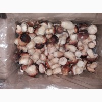 Продаємо гриби лісові білі, лисички, опеньки (сушені, заморожені, мариновані)