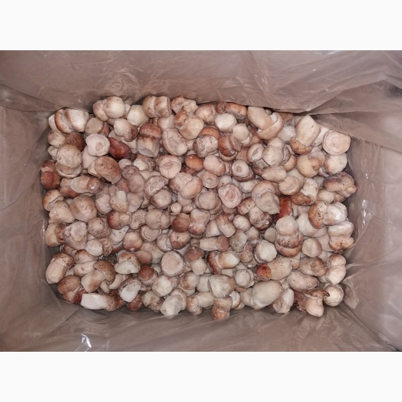 Фото 3. Продаємо гриби лісові білі, лисички, опеньки (сушені, заморожені, мариновані)
