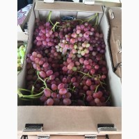 Продаём виноград (ягода)