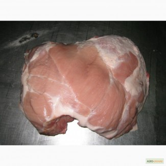 М ясо свинини: окорок, лопатка, корейка, ошийок, вирізка
