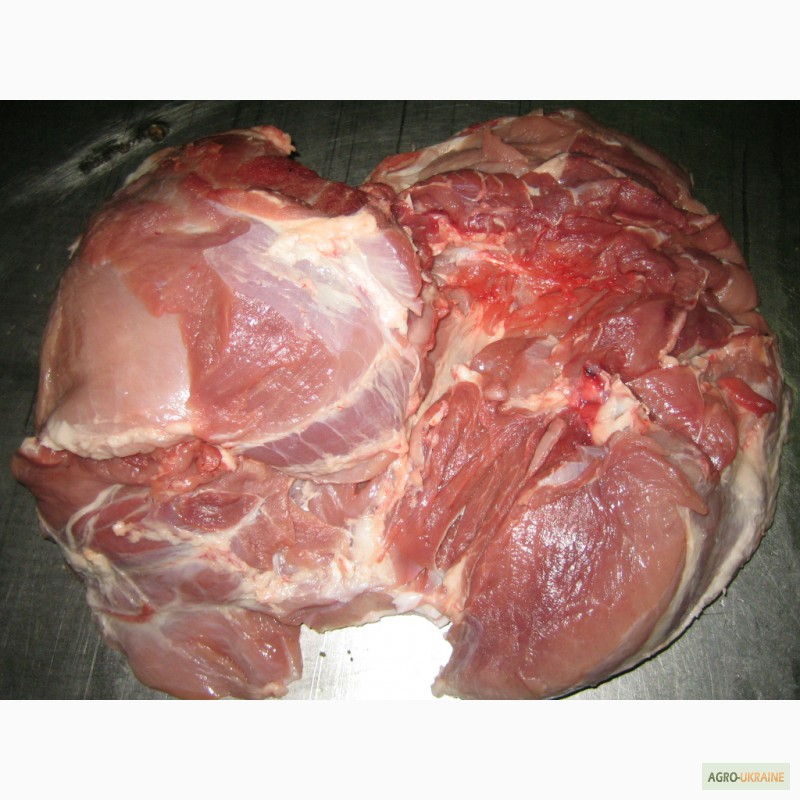 Фото 2. М ясо свинини: окорок, лопатка, корейка, ошийок, вирізка