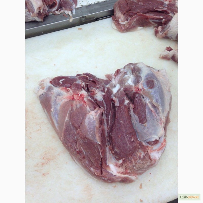 Фото 5. М ясо свинини: окорок, лопатка, корейка, ошийок, вирізка