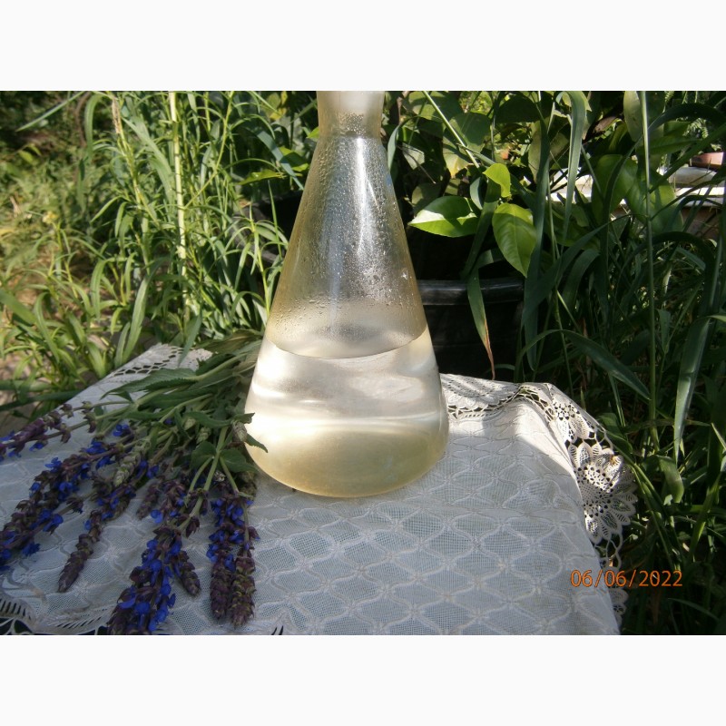 Фото 2. Гідролат шавлії 100%, незбираний від олії, з високим вмістом ефірної олії