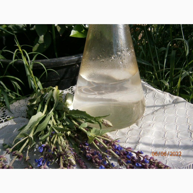 Фото 4. Гідролат шавлії 100%, незбираний від олії, з високим вмістом ефірної олії