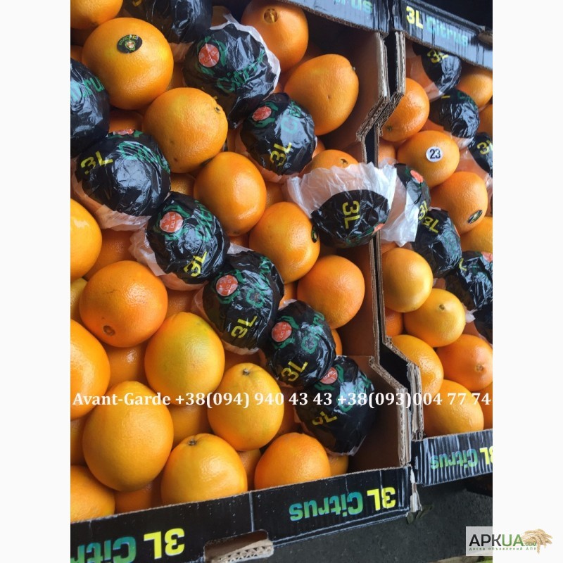 Фото 2. Апельсины оптом (Египет, Турция). Лучшее предложение в Украине. Звоните