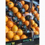 Апельсины оптом (Египет, Турция). Лучшее предложение в Украине. Звоните