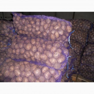 Продам картофель по цене производителя